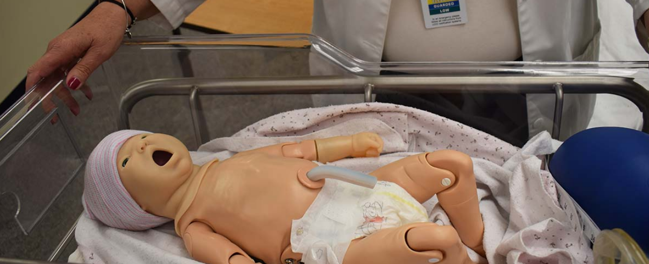 An infant manikin is in a clear hospital bed.