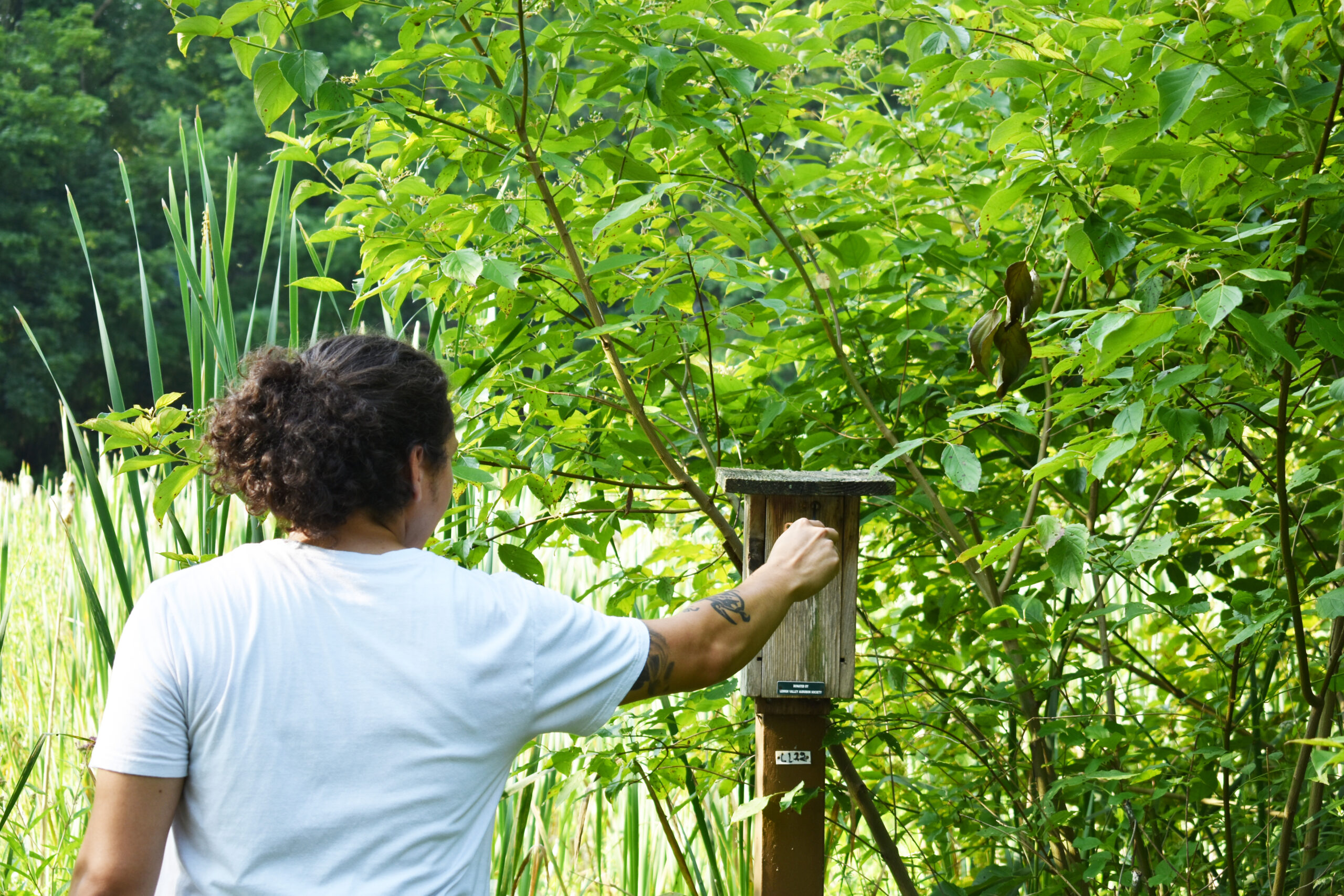 Field Biology Course Enables Hands On Learning and Research Lehigh