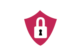 Networking and Cybersecurity icon