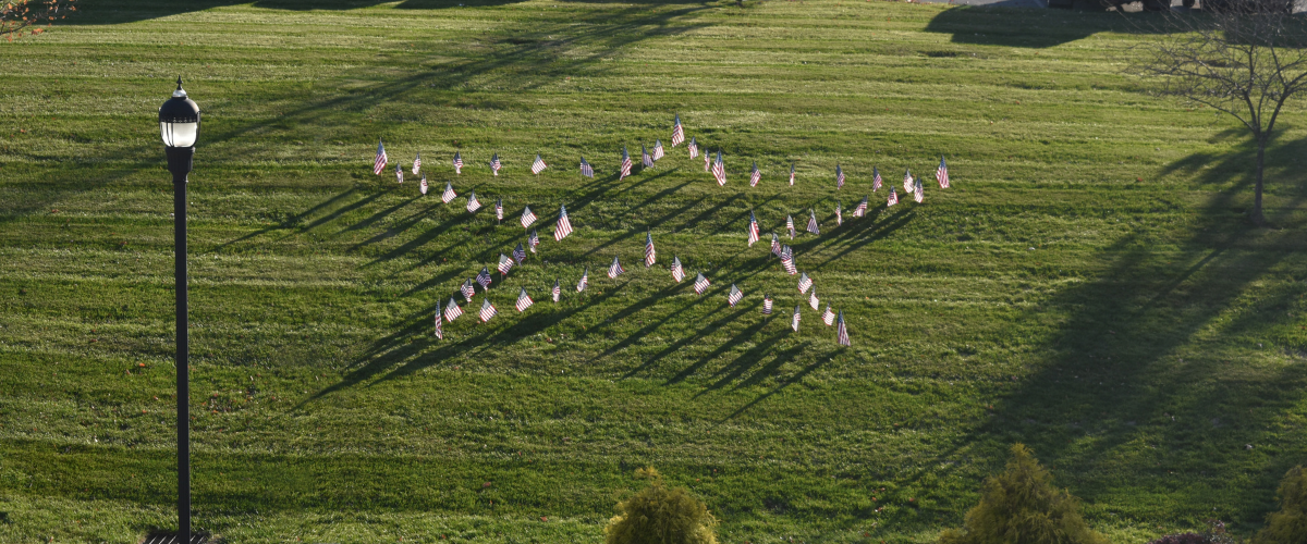 An aerial view of grass where small American flags have been placed in the shape of a star.